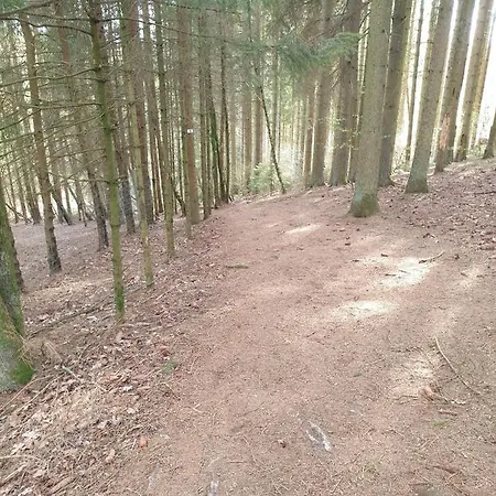 بيت للعطل Maison Bonne Humeur Achouffe *