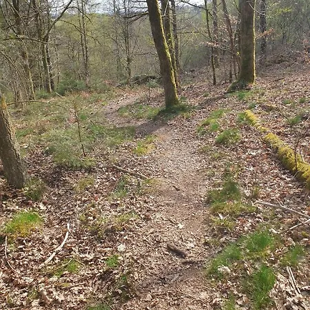 Maison Bonne Humeur Achouffe *