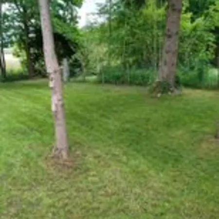 Maison Bonne Humeur Achouffe Holiday home Houffalize