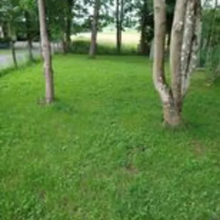 Maison Bonne Humeur Achouffe Уффализ