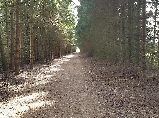 Holiday home Maison Bonne Humeur Achouffe