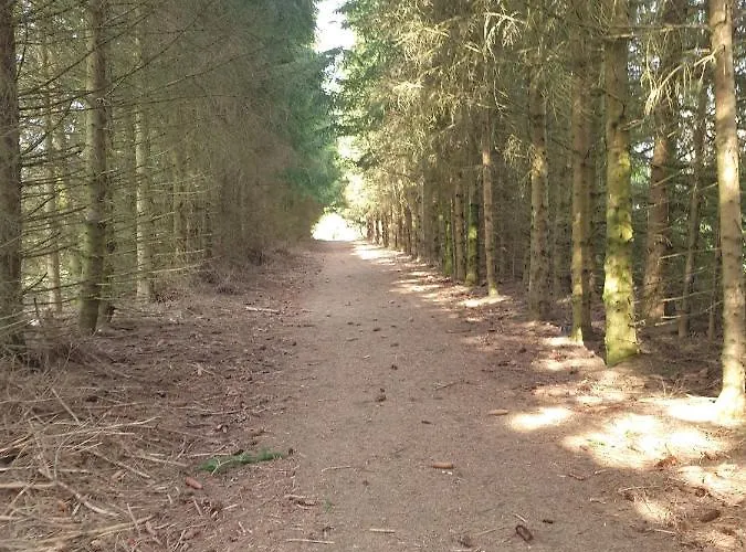 Casa de Férias Maison Bonne Humeur Achouffe *
